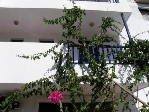 Aparthotel Bay Watch Karpathos Esterno foto