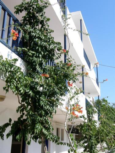Aparthotel Bay Watch Karpathos Esterno foto